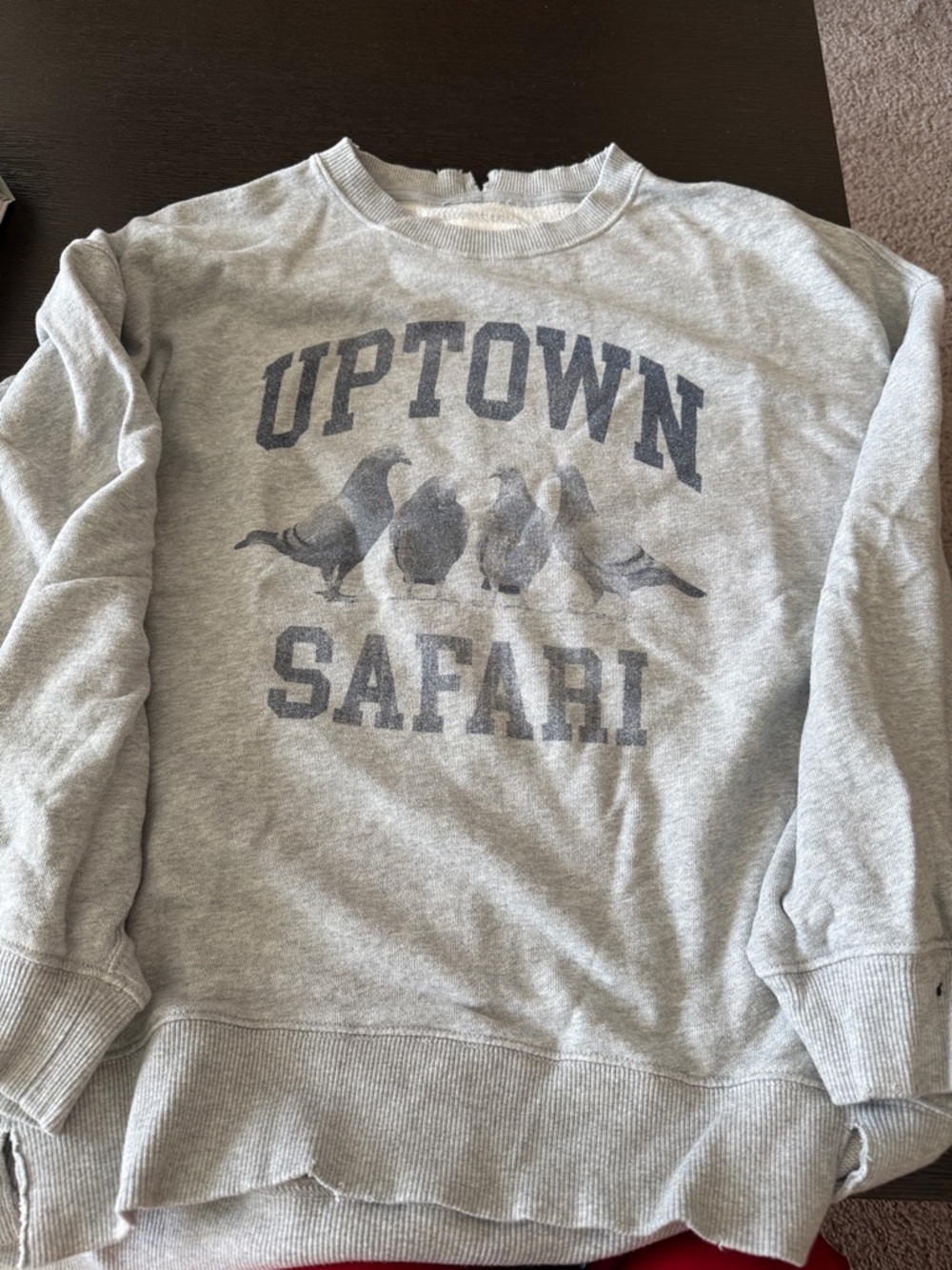 aerie Men's Gray Graphic Crewneck Sweatshirt